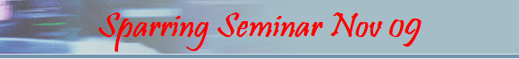 Sparring Seminar Nov 09